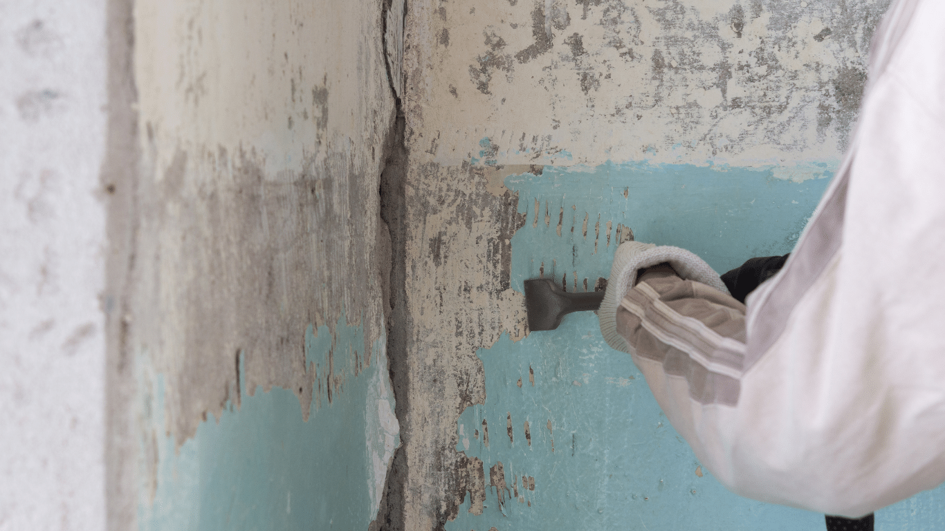 Kitchen Demolition