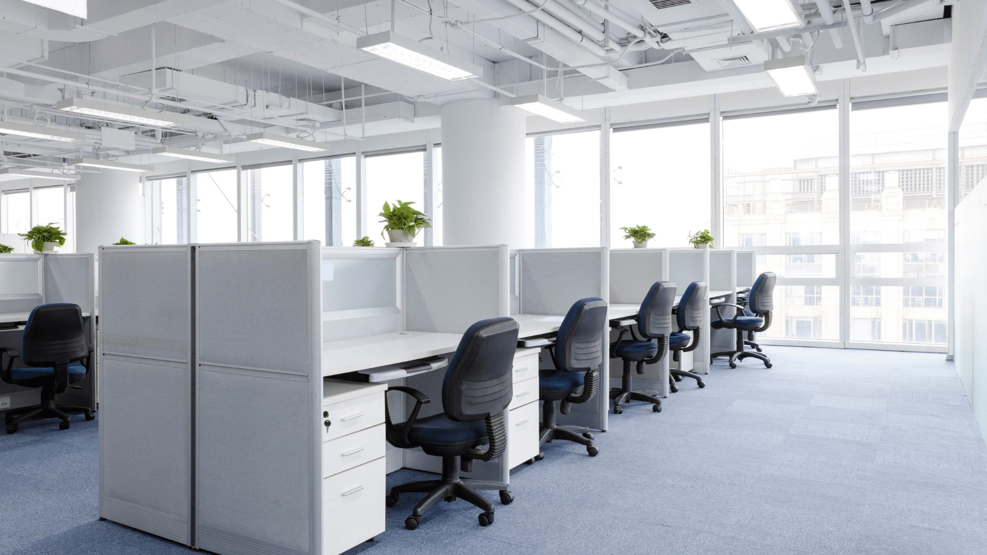 Office Cleanouts