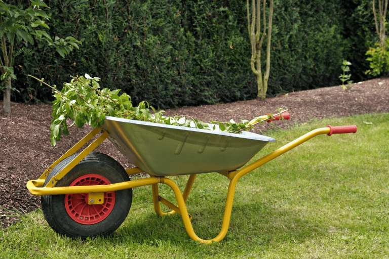 Yard Waste removal