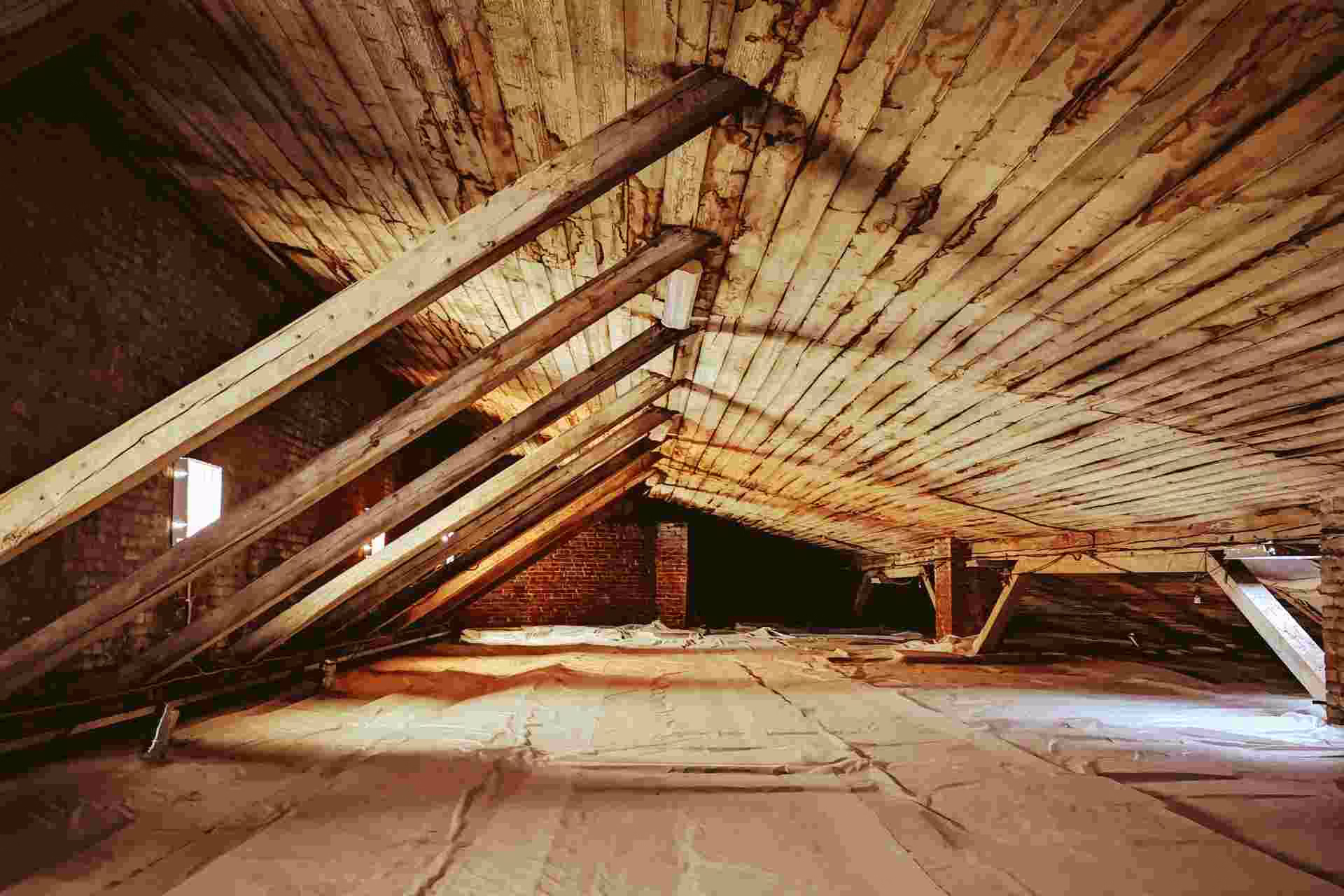 Attic Cleanout