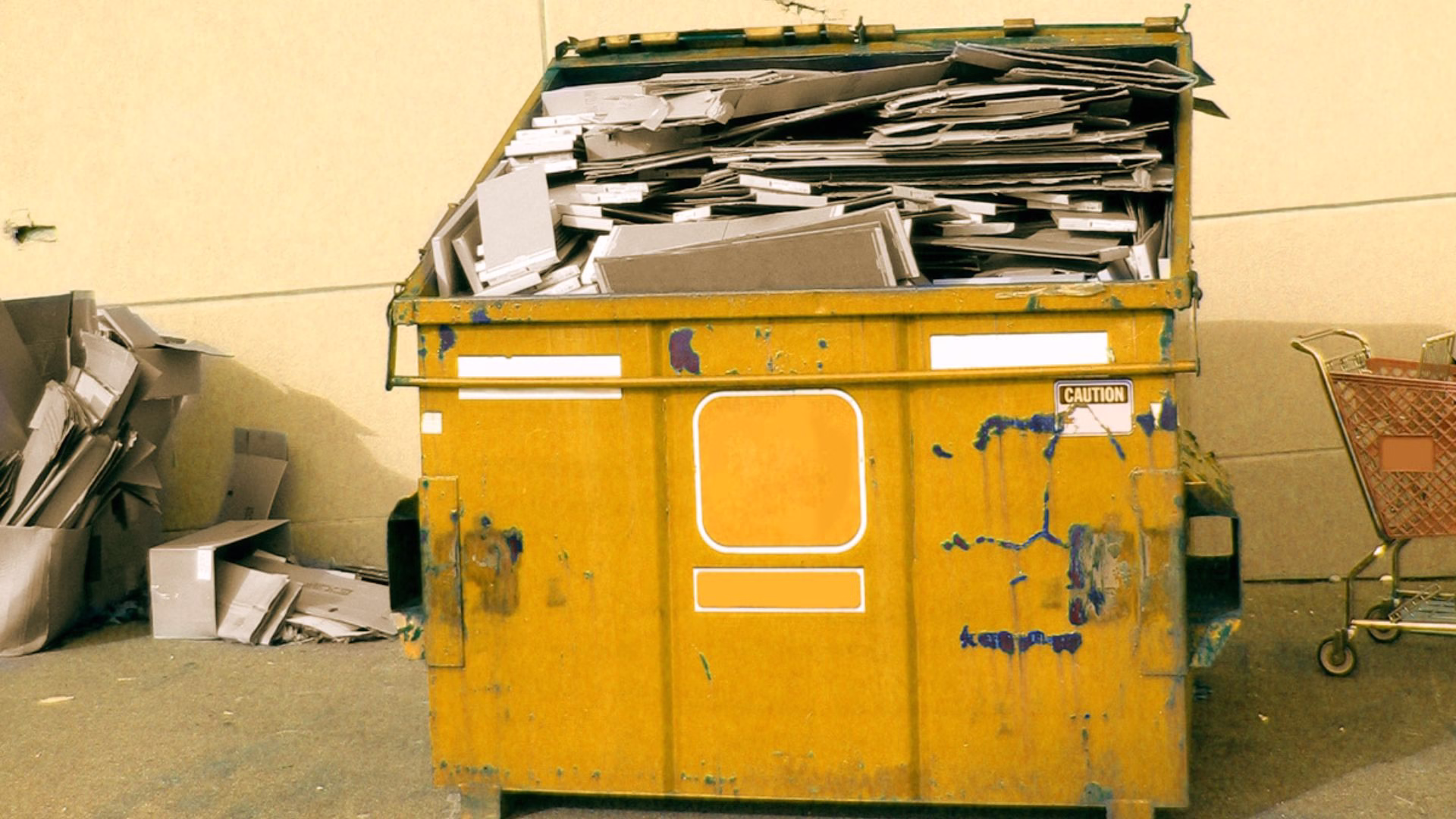 Residential Dumpster Overflow Cleanup