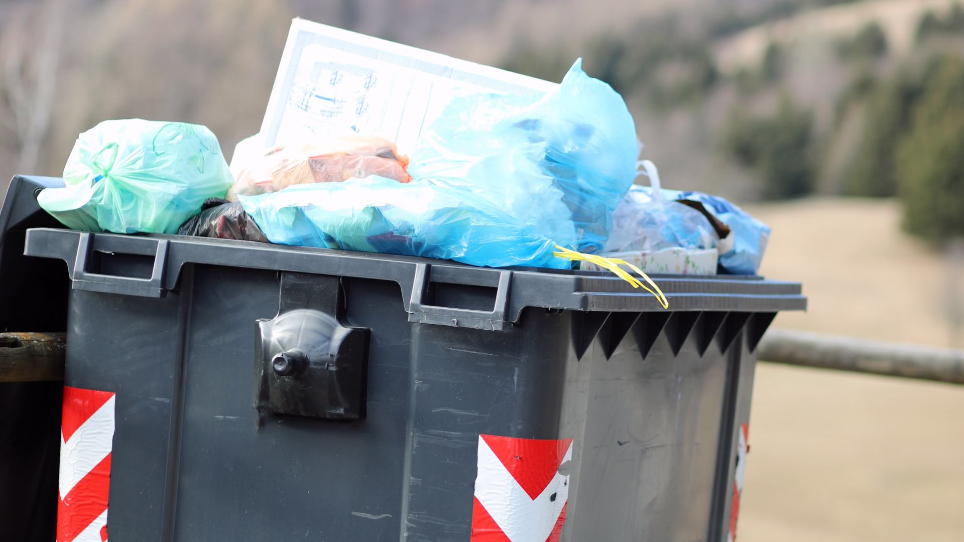 Tackle General Garbage with Ease