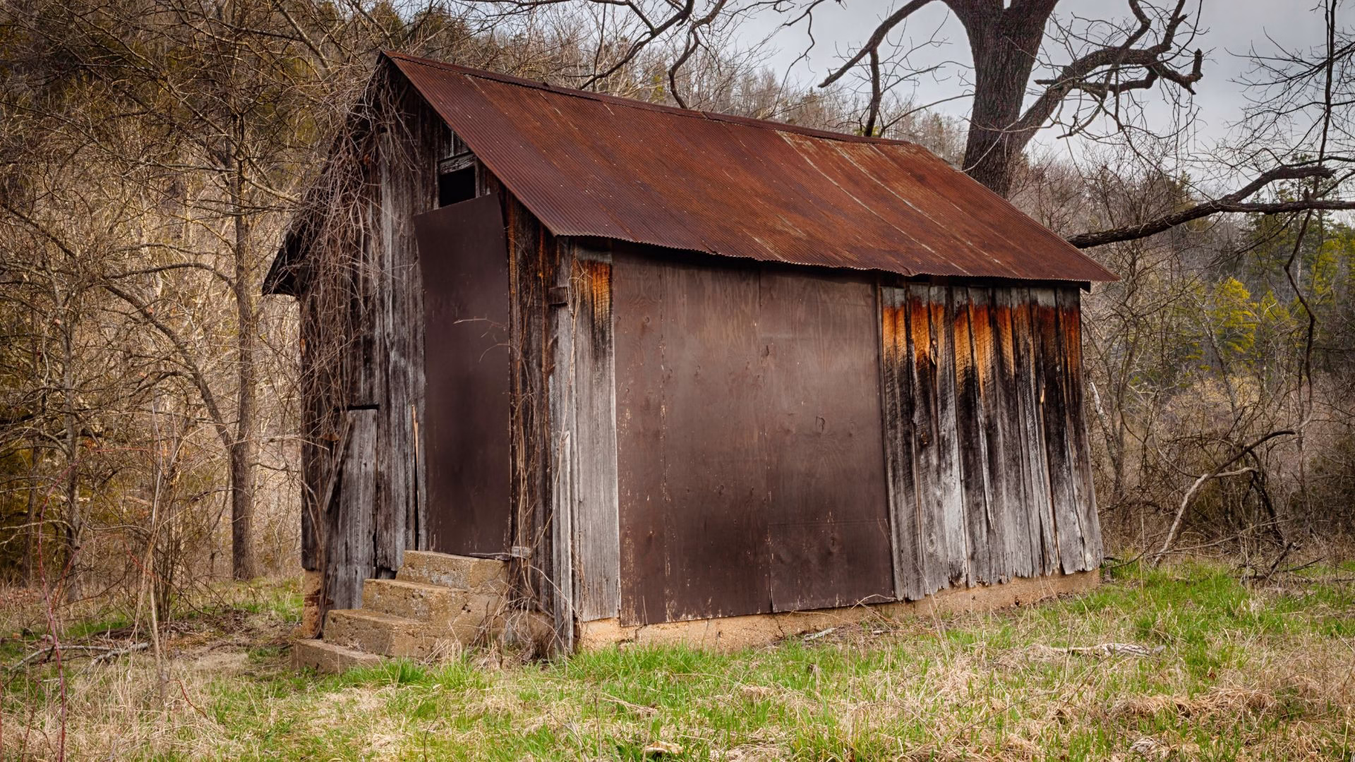 Shed Removal