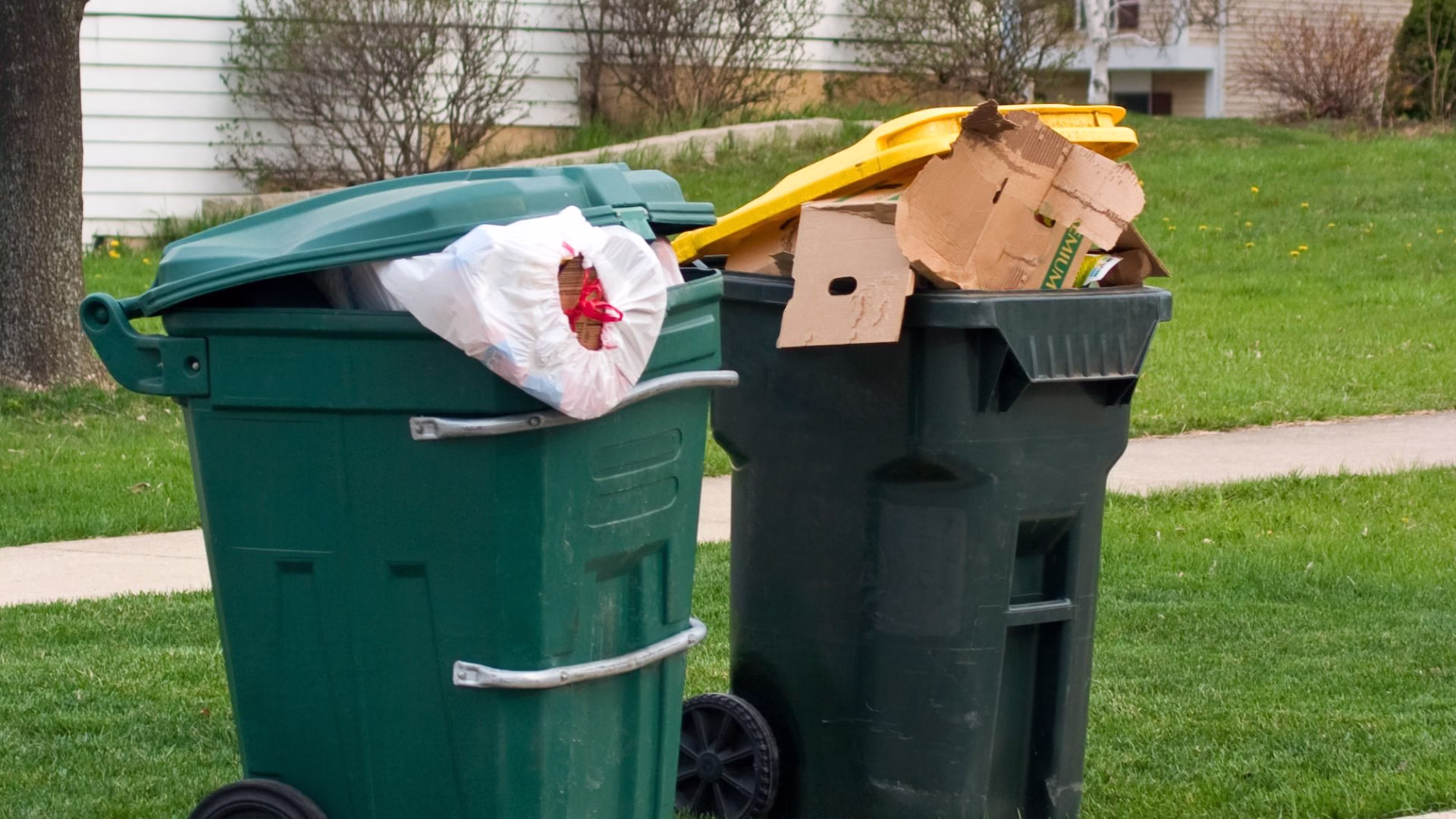 Commercial Junk Removal