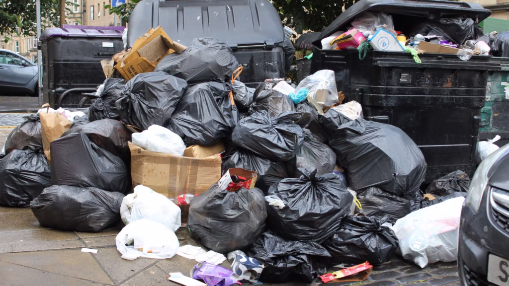 Property Management Cleanouts