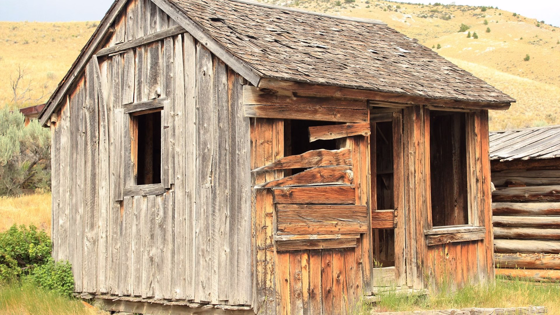Complete Shed Demolition