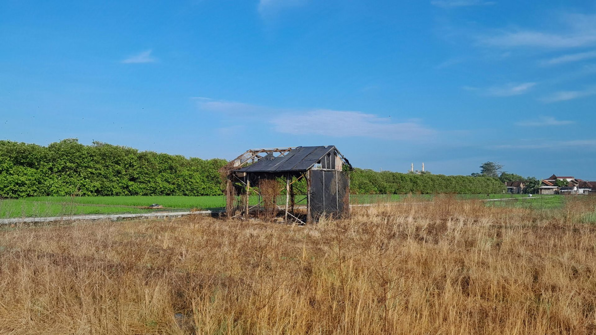 Complete Shed Demolition