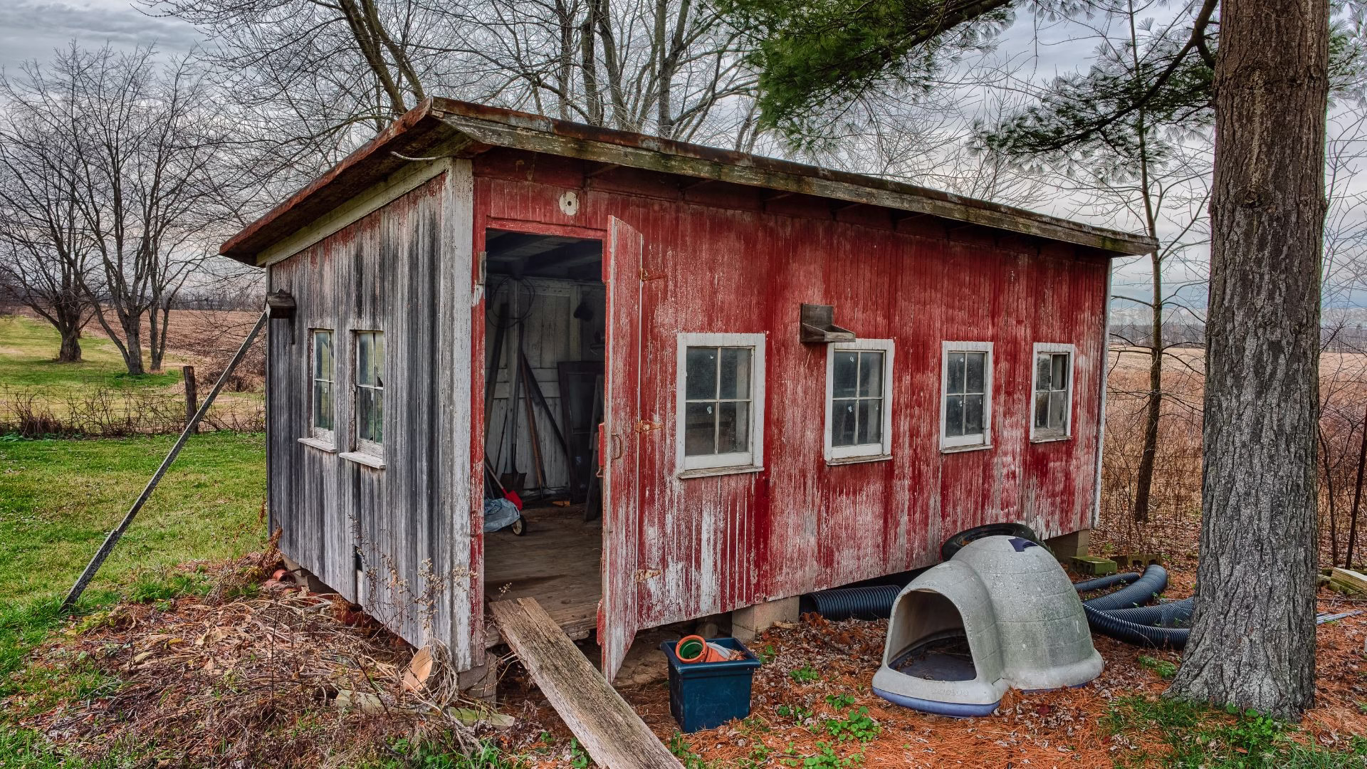 Metal and Wooden Shed Removal