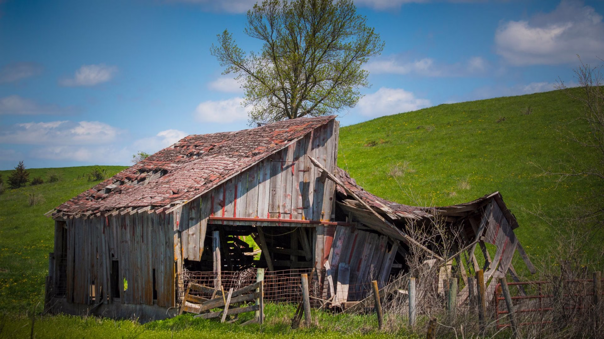 Metal and Wooden Shed Removal