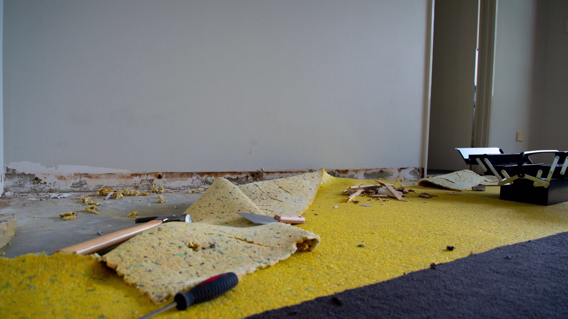 Residential Carpet Removal