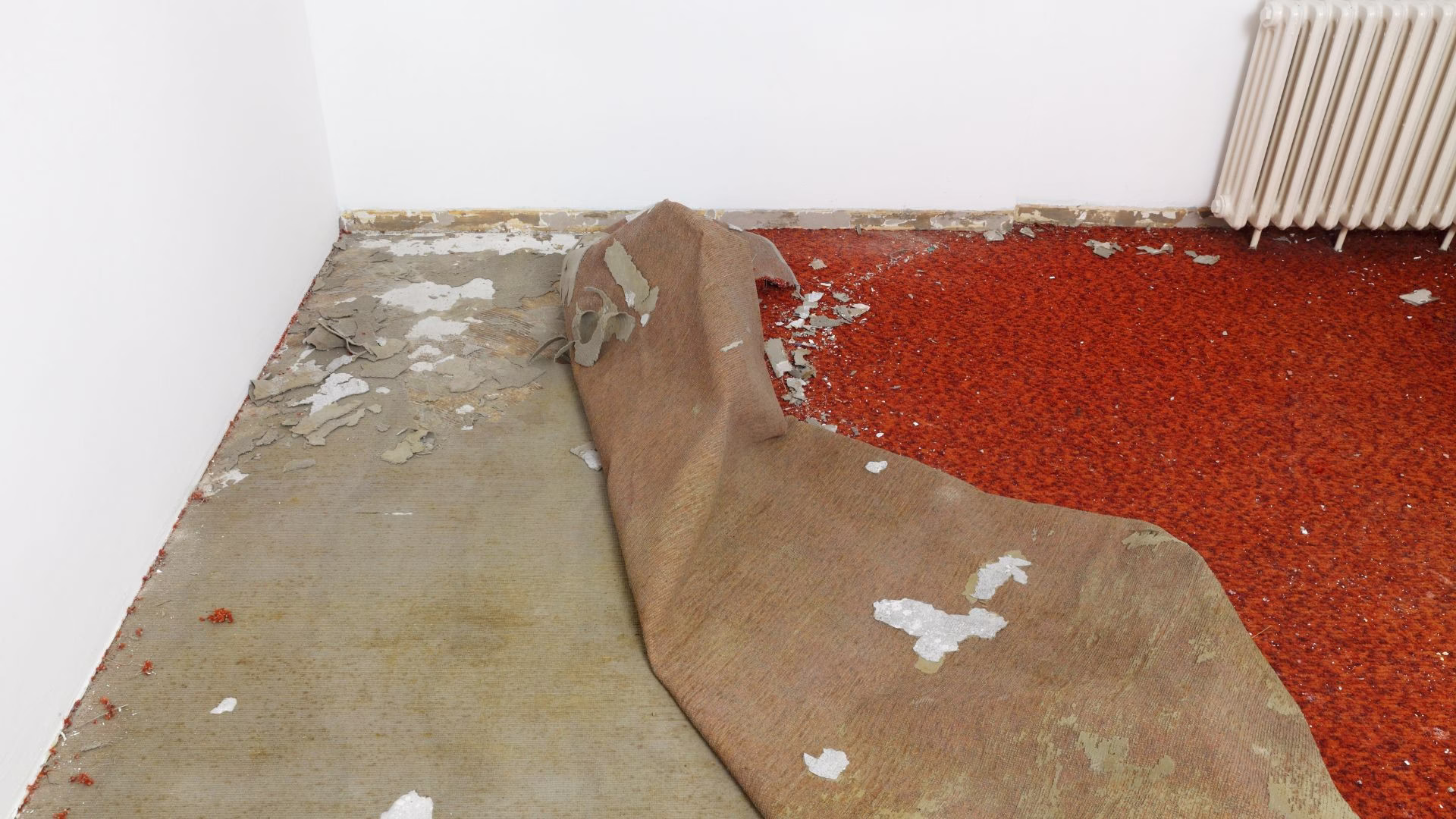 Commercial Carpet Removal