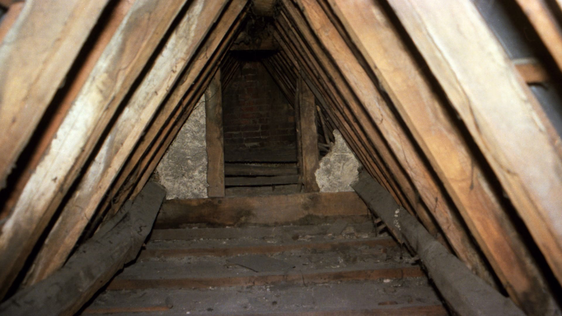 Estate Attic Cleanout