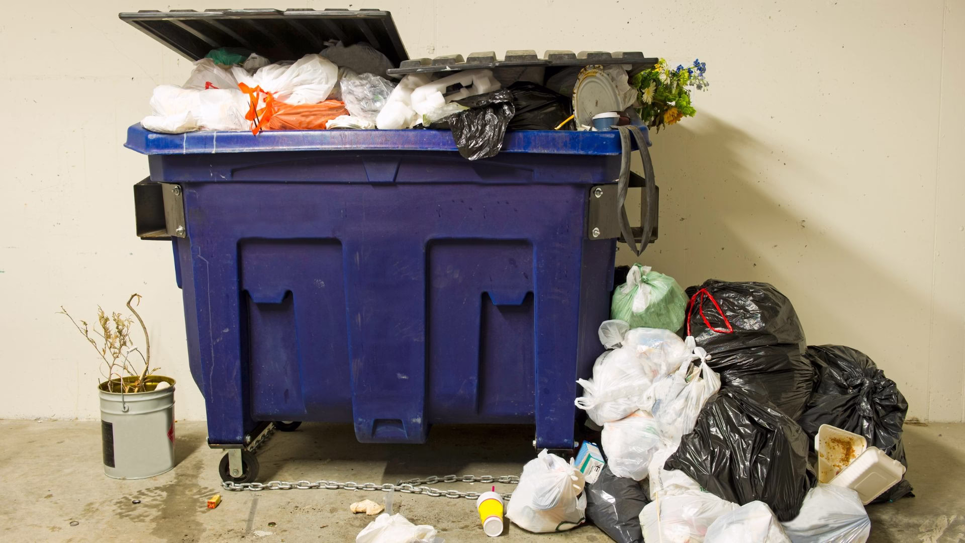 Event Dumpster Overflow Cleanup