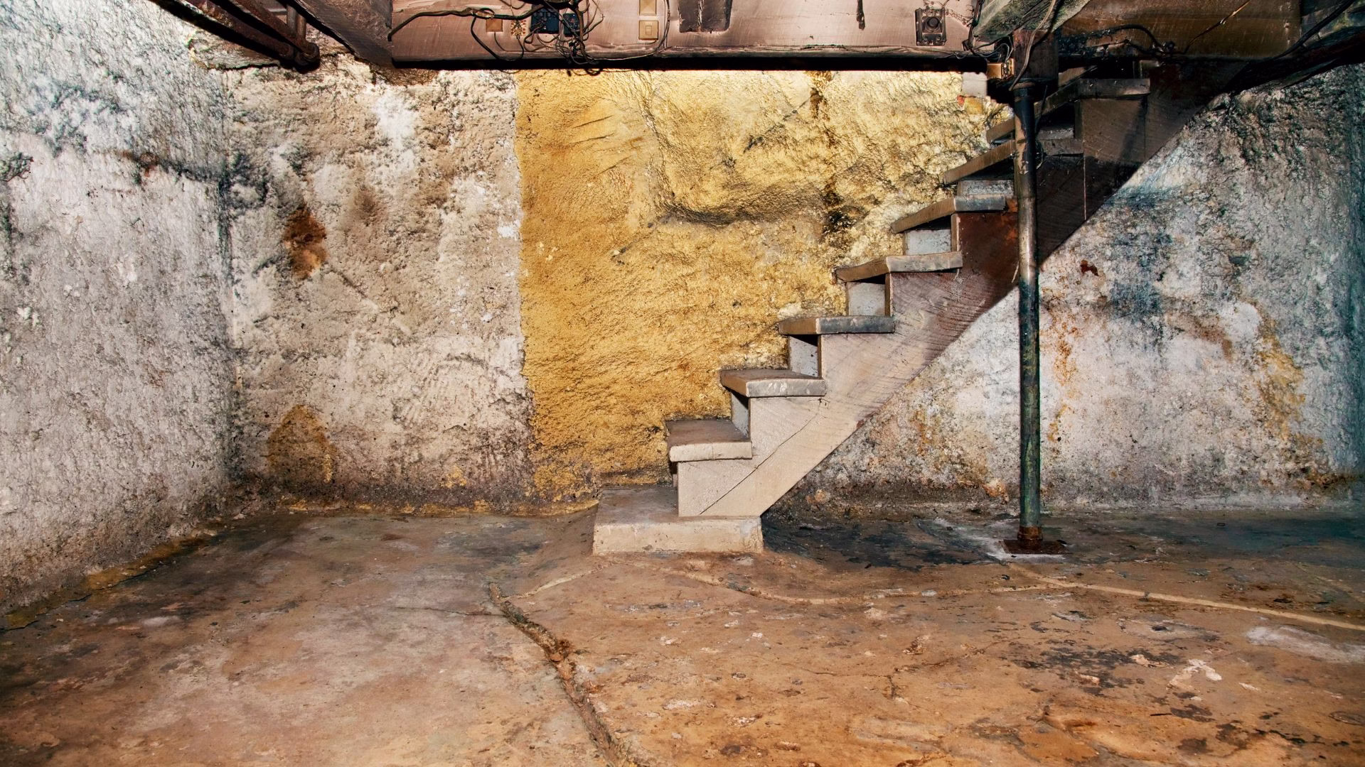 Renovation Prep Basement Cleanout