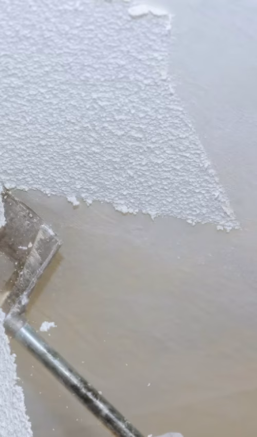 Drywall Removal