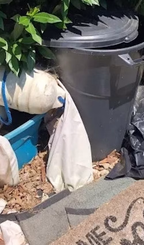 property management cleanout property management cleanout